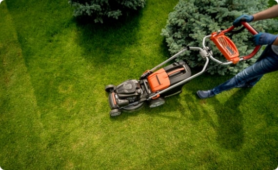 Gartenprojekt 1